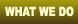 HDTV Video Production Capabilities - Tampa St. Petersburg Florida